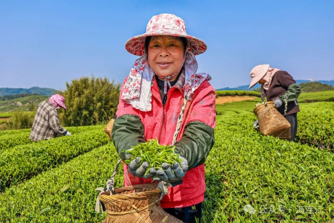 @连江人，喝到就是赚到！快来一杯！