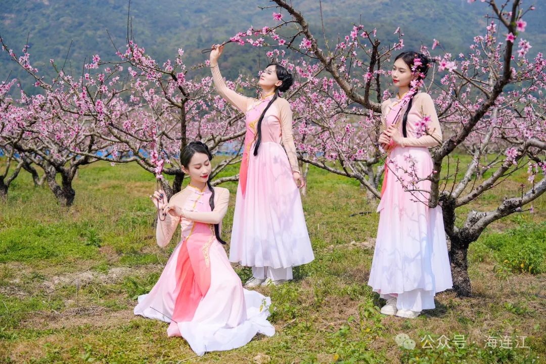 桃花 “炸场”，连江这里好热闹！