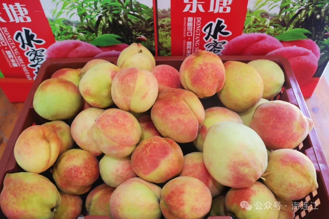 桃花 “炸场”，连江这里好热闹！