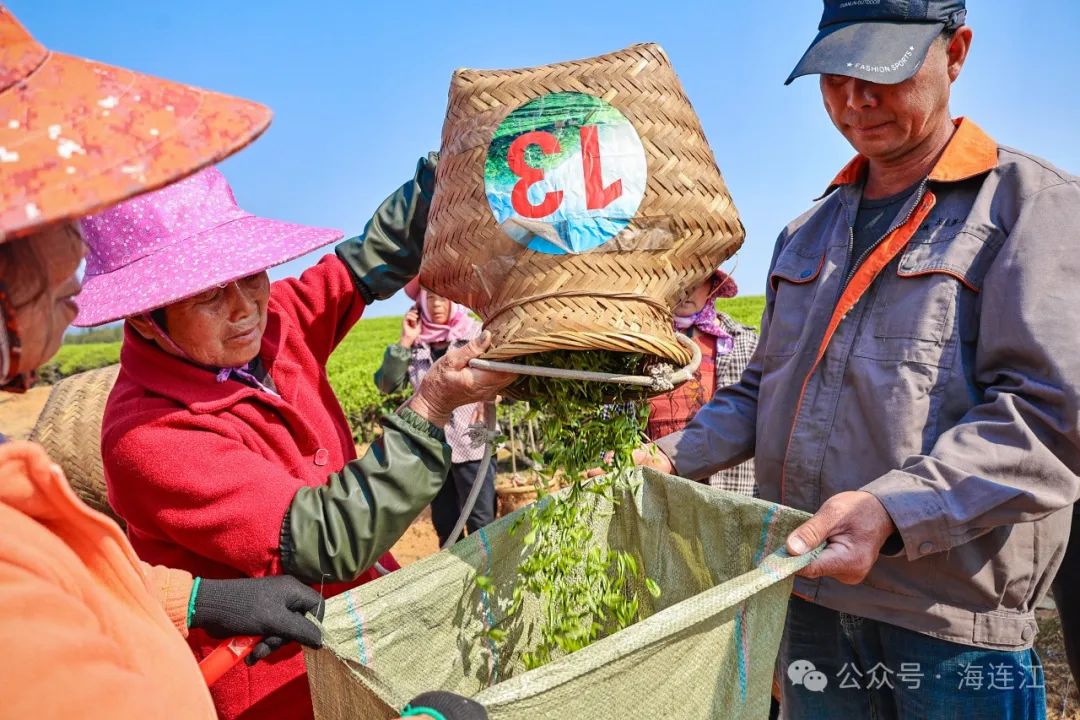 @连江人，喝到就是赚到！快来一杯！