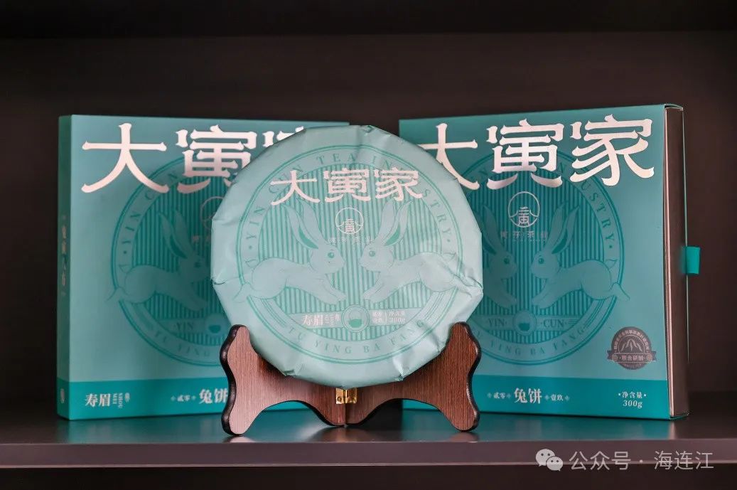 白茶首采！连江这里飘出“新茶香”→