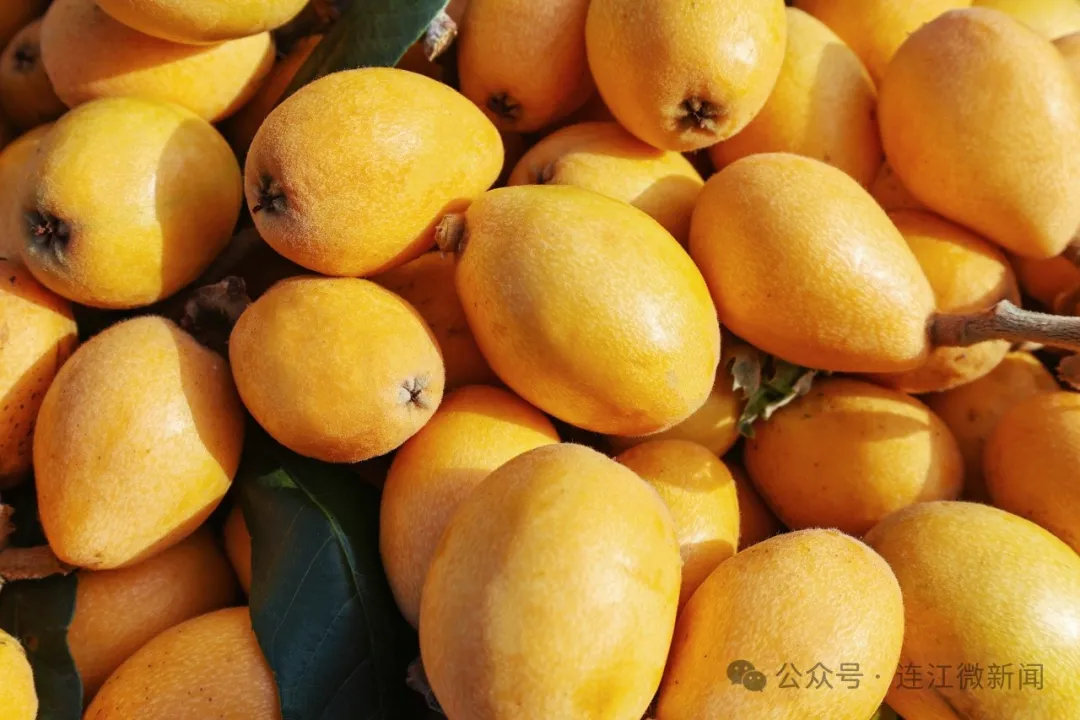 春天第一甜！连江正抢“鲜”上市！