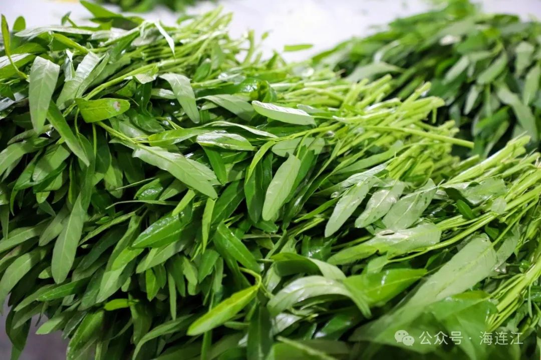 鲜！嫩！脆！连江人爱的这口，你吃上了吗？