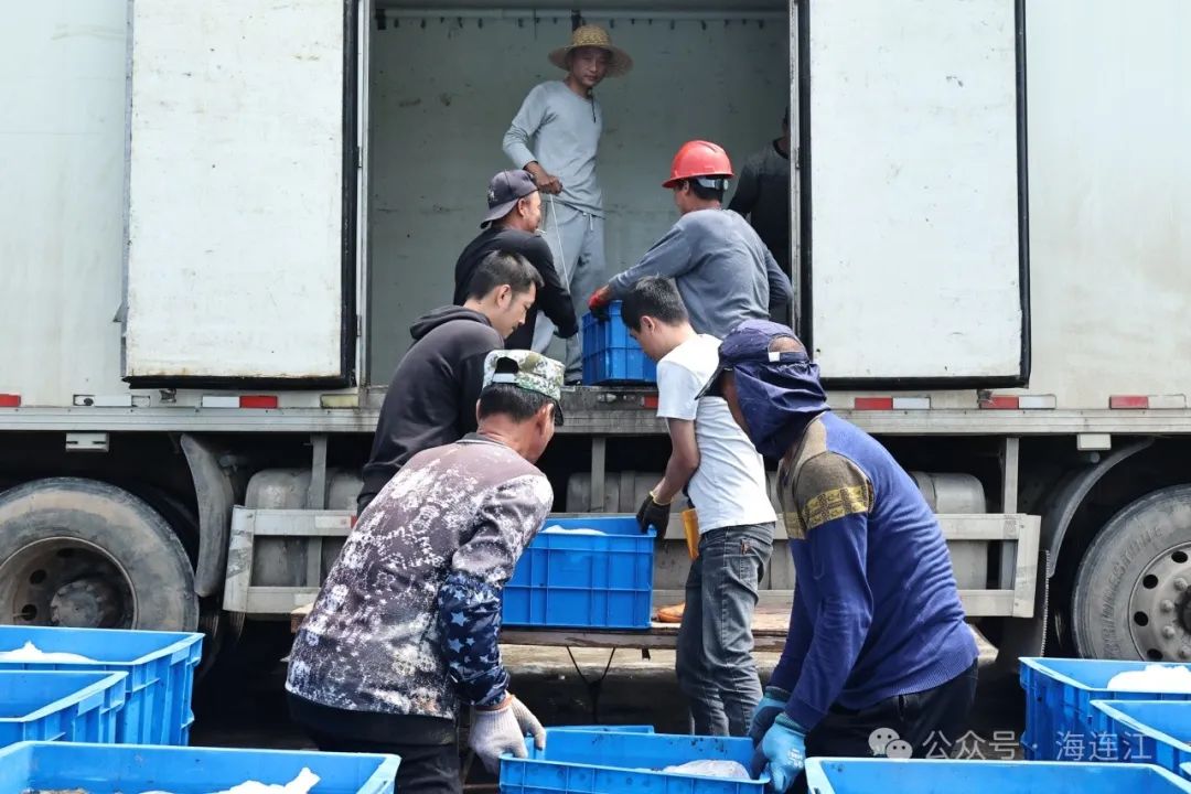 6000余万只！连江喊你吃海参啦！