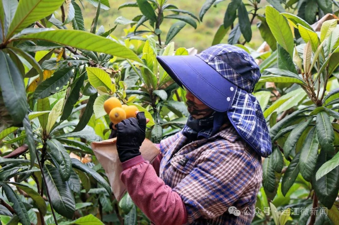 春日限定！连江人心心念念的这一口，正在上市→