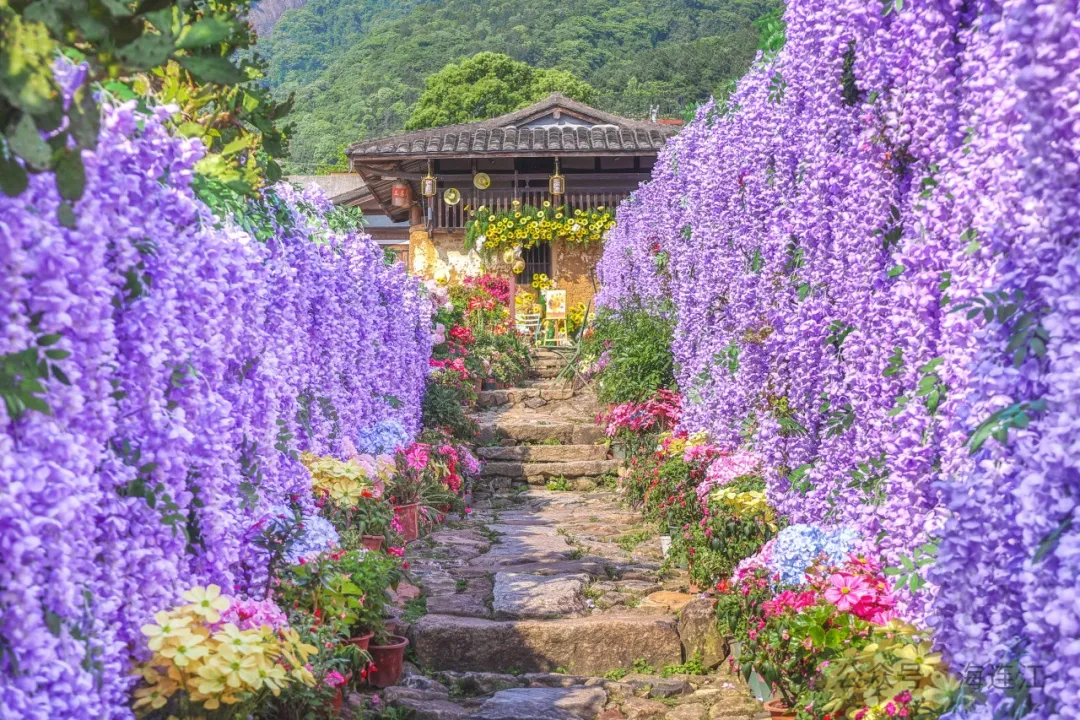 超出片！连江这里“花”样百出！