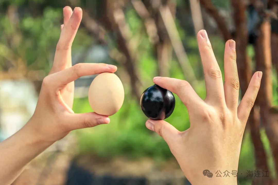 一口爆汁！连江这颗“珍珠”超好吃！