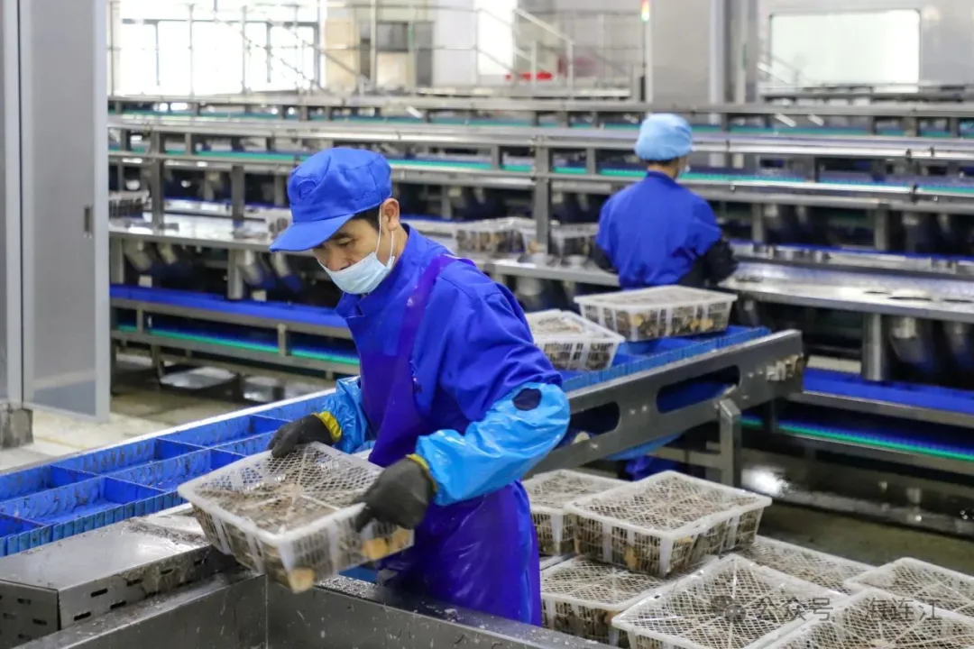 年产量超5000吨！连江这家企业卖“鲍”了！