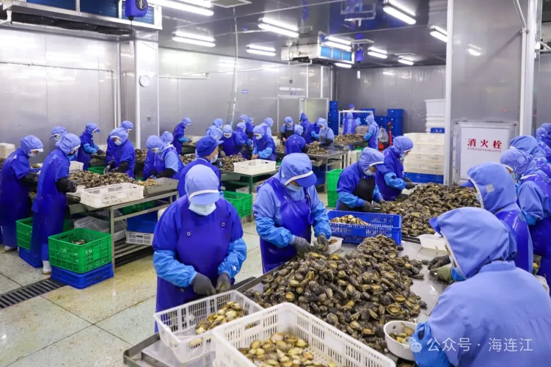 年产量超5000吨！连江这家企业卖“鲍”了！