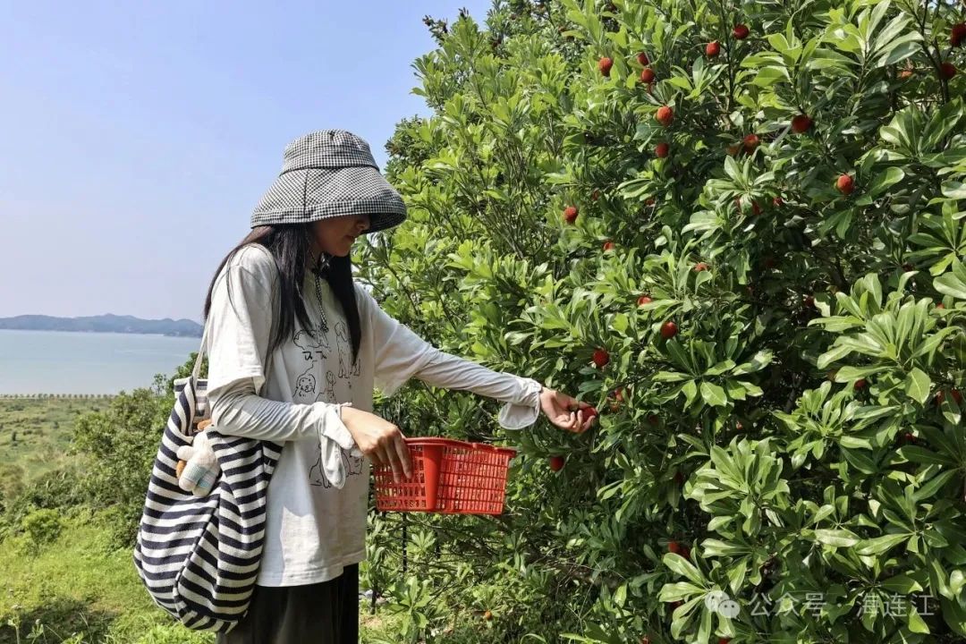 一口爆汁！连江夏日限定美味已上线→