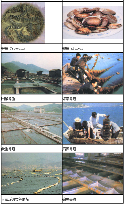 水产之乡