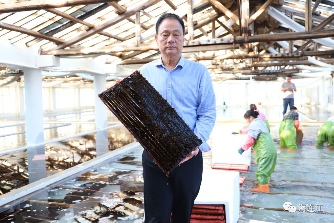 大迁移！连江“宝宝”赶飞机北上