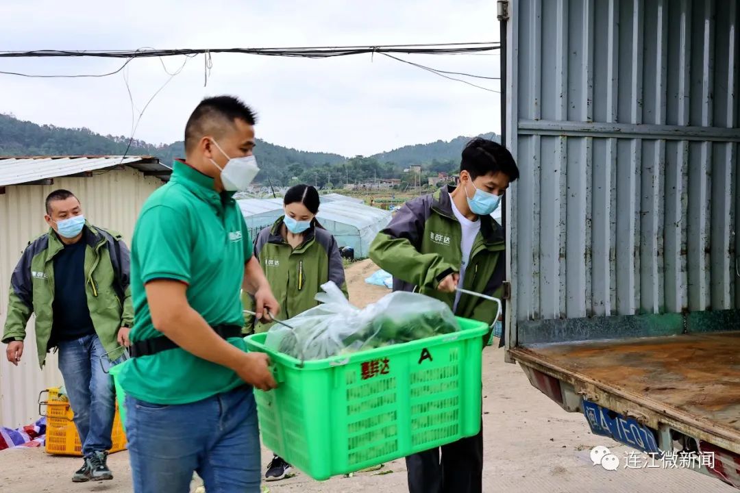 多方联手!连江蔬菜有了“新销路” 多方联手!连江蔬菜有了“新销路”
