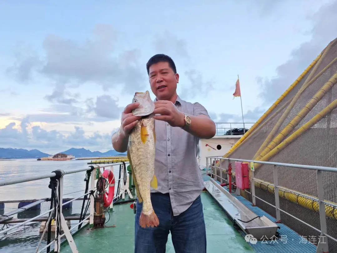 向海洋要食物！连江“海上粮仓”底气十足→