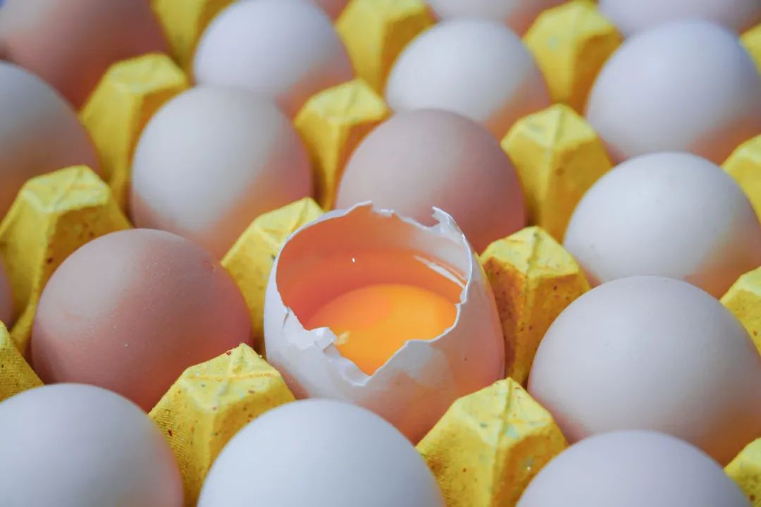 每天坚持吃1个鸡蛋，对身体是好是坏？最新研究来了！