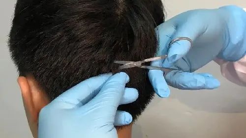 两位空乘尿检阳性，涉嫌吸毒被停职！上海法医还清白，原因居然是……