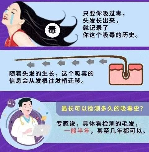 两位空乘尿检阳性，涉嫌吸毒被停职！上海法医还清白，原因居然是……