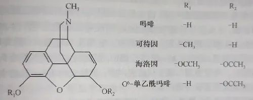 两位空乘尿检阳性，涉嫌吸毒被停职！上海法医还清白，原因居然是……
