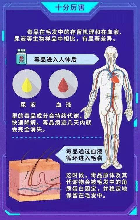 两位空乘尿检阳性，涉嫌吸毒被停职！上海法医还清白，原因居然是……