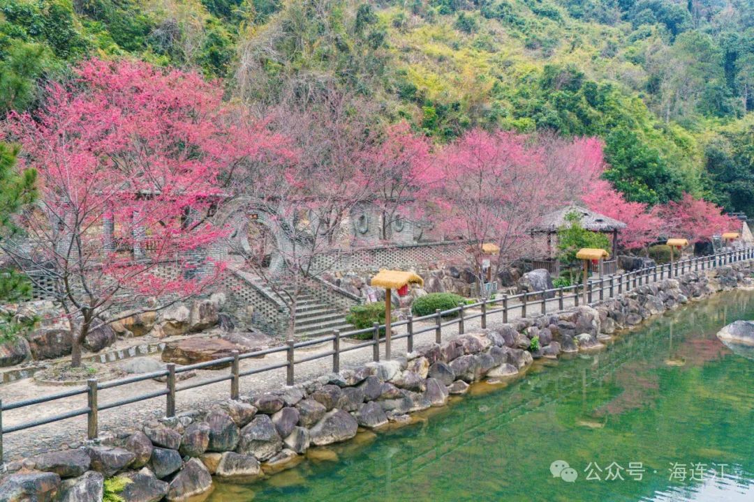 【网络中国节·春节2025】不要错过！连江这里浪漫正当时→