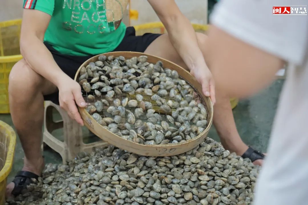 闽人智慧：全球最美味海鲜，从福建这里上岸