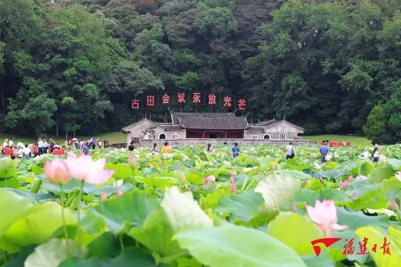 深学争优 敢为争先 实干争效 | 专访龙岩市委书记余红胜