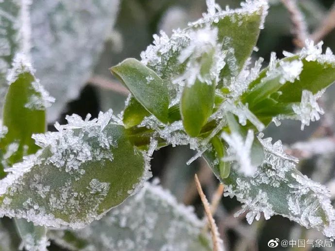 【网络中国节•霜降】白昼秋云散漫远，霜月萧萧霜飞寒