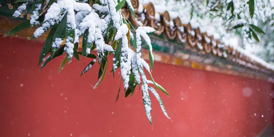 【网络中国节·小雪】心中有暖不畏寒