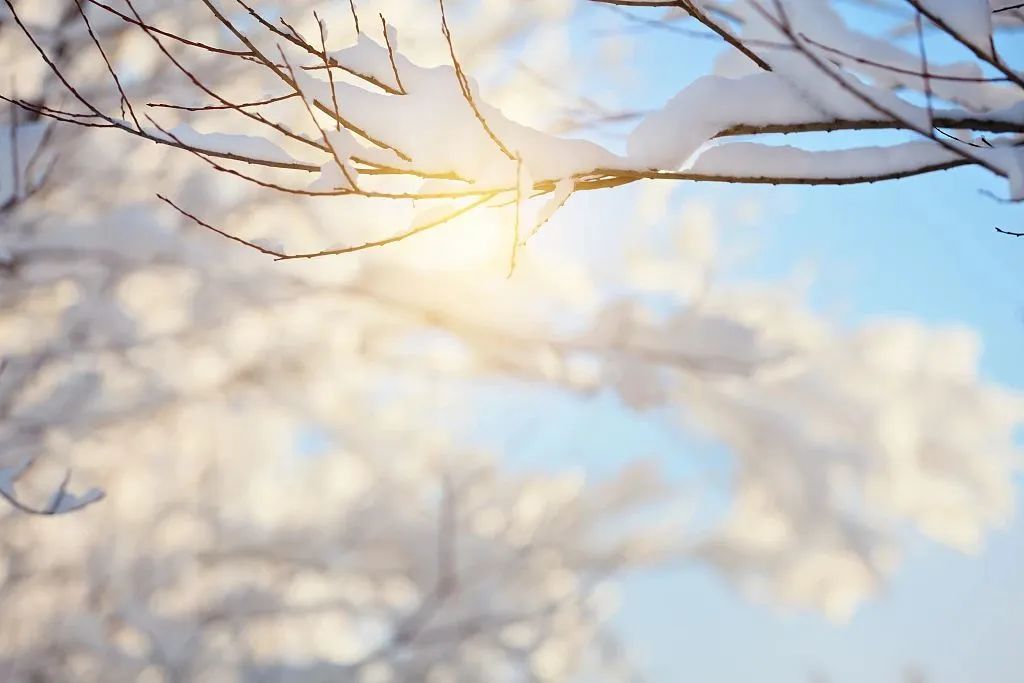 【网络中国节·小雪】心中有暖不畏寒