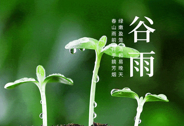 【网络中国节·谷雨】春深暖风起 雨润万物生