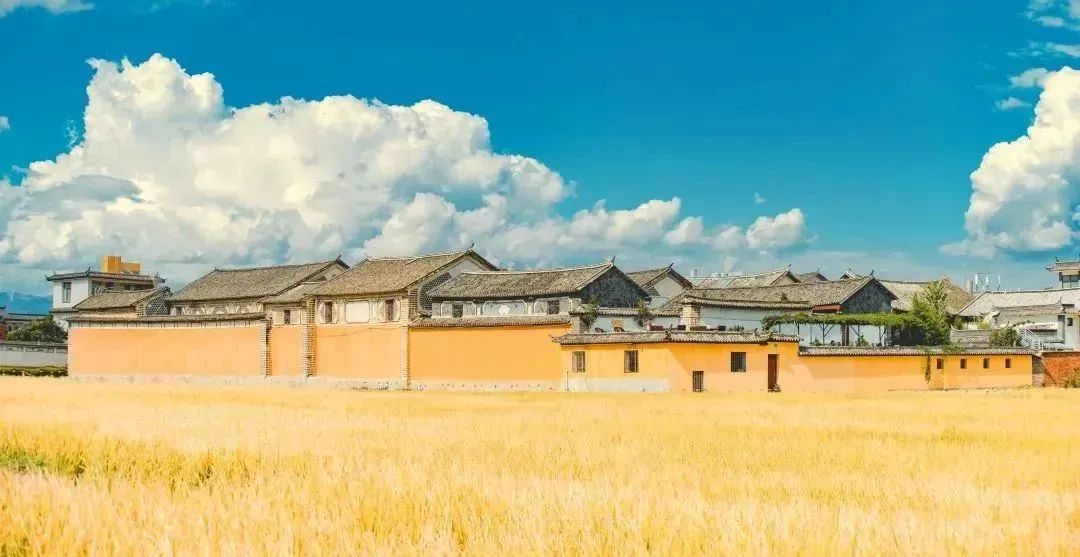 【网络中国节·小满】小满：人生自有境界 小满足，大欢喜