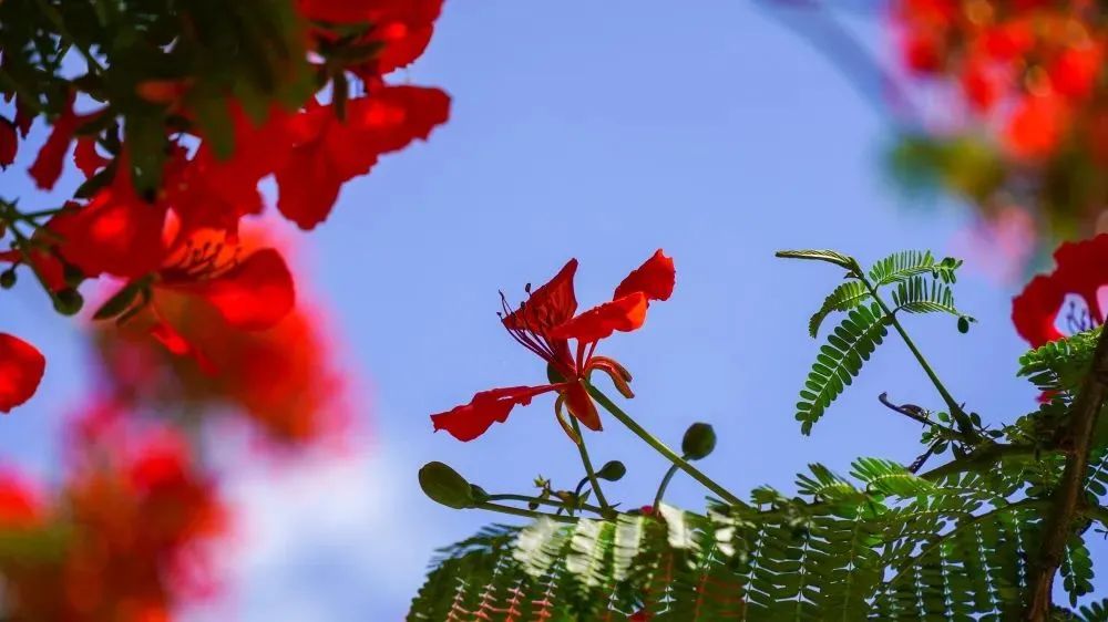 【网络中国节·小满】小满：人生自有境界 小满足，大欢喜
