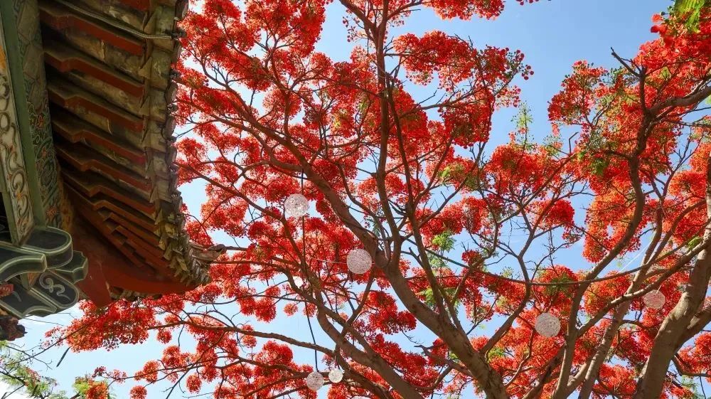 【网络中国节·小满】小满：人生自有境界 小满足，大欢喜