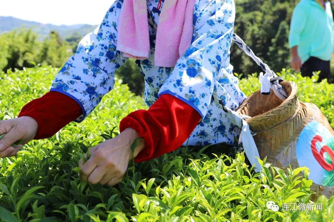 围观！连江这场比赛结果出炉啦