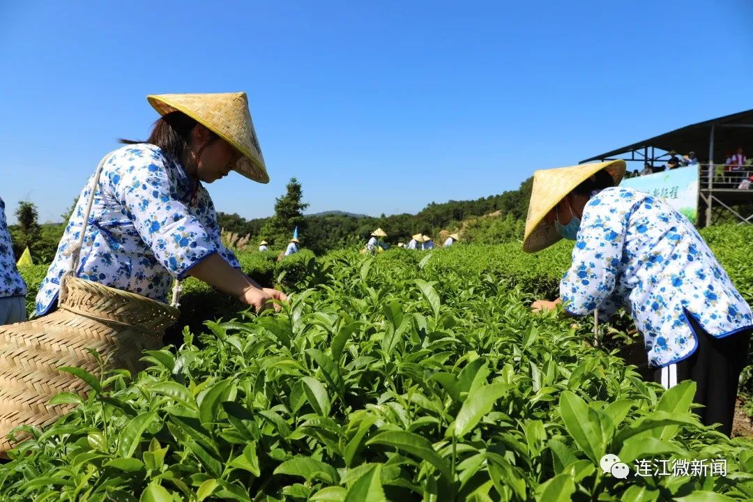 围观！连江这场比赛结果出炉啦