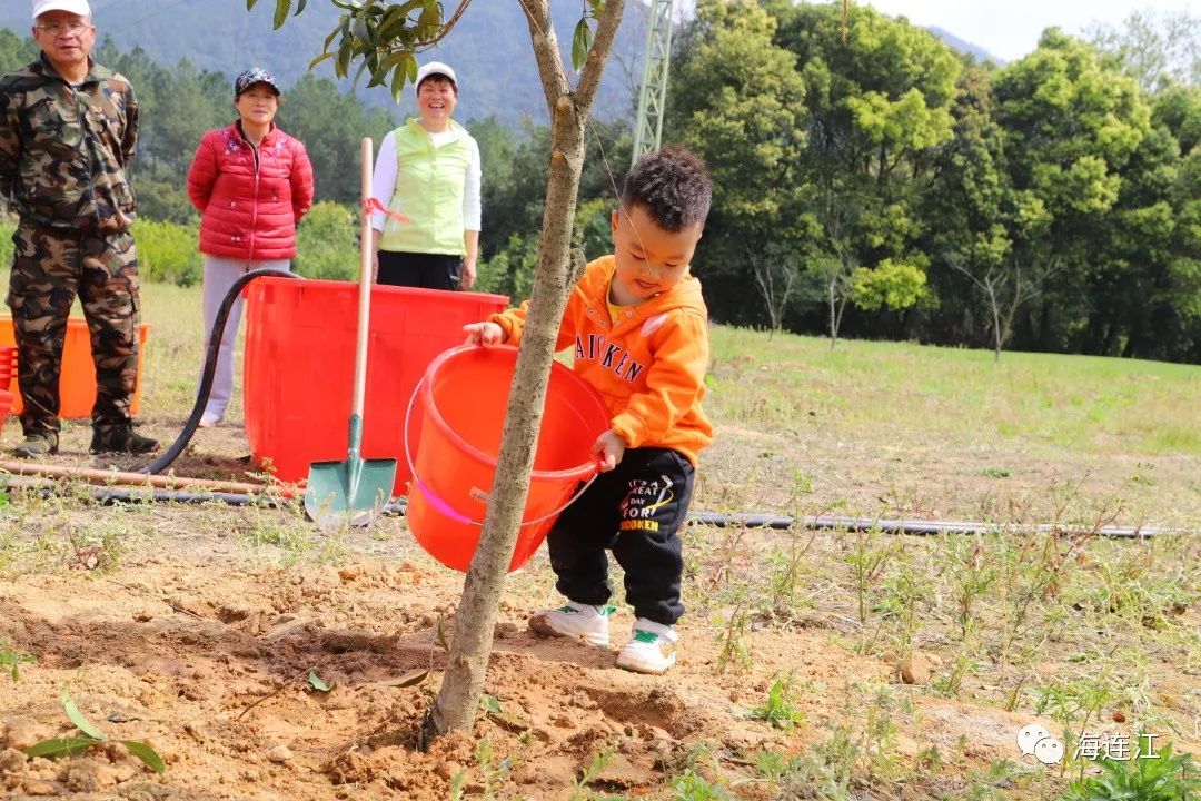 今天，连江新添一片“丹桂林”！