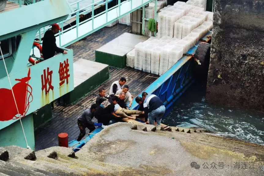 连江一渔民危在旦夕，“海上120”紧急救援！