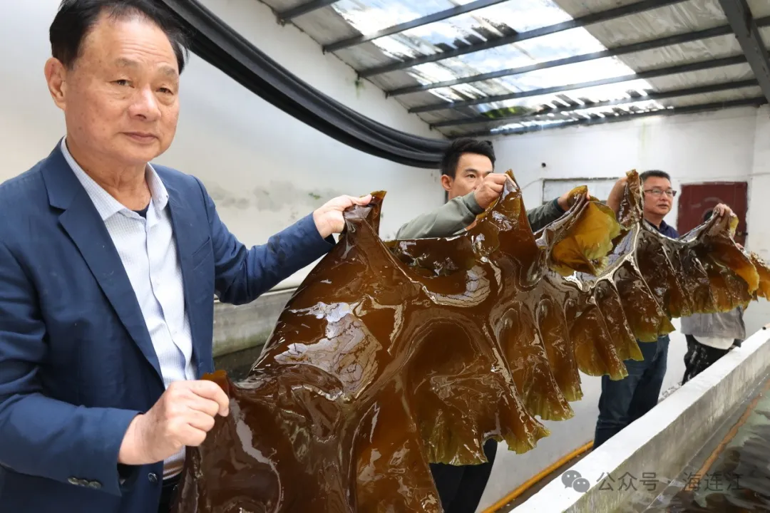 “海上福州”三十载！连江，引潮逐浪、筑梦深蓝！