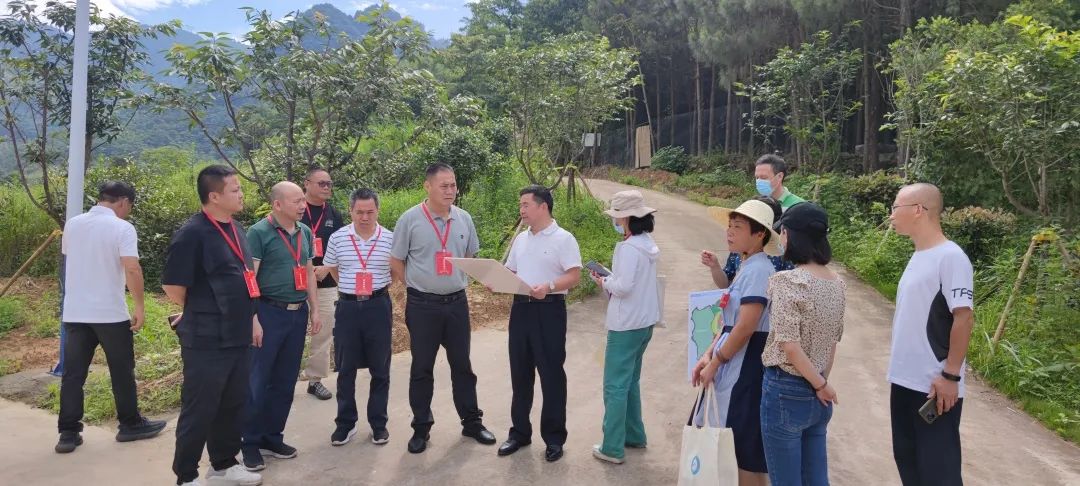 助力乡村振兴，连江人大在行动！