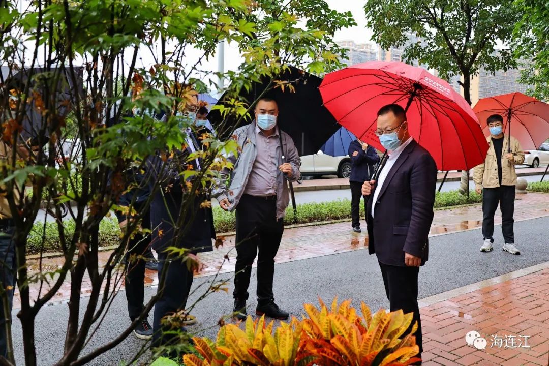 事关民生！今天，县长率队调研！