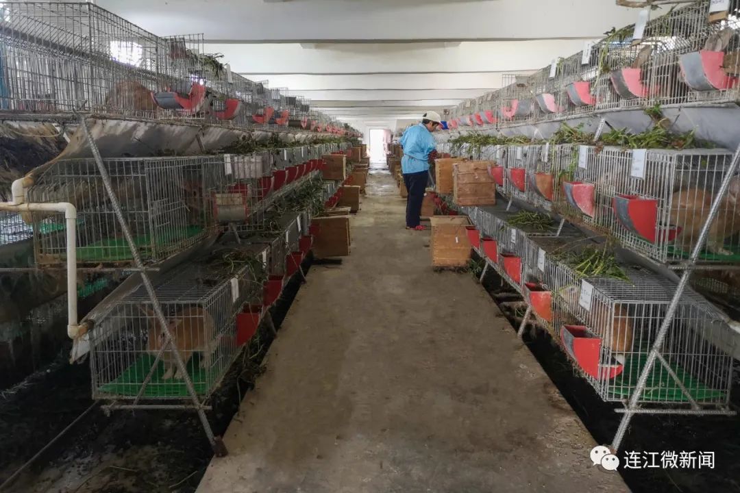 喜报！连江一国家级项目通过验收！