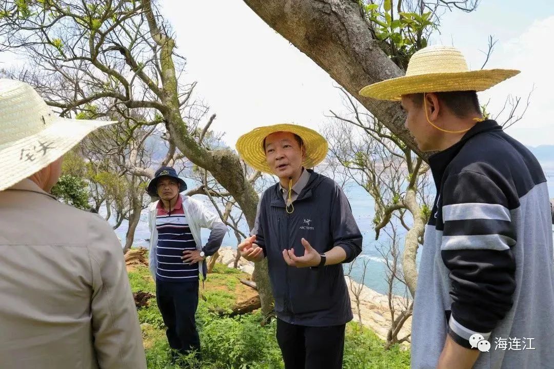 今天，陈劲松率队赴苔菉镇、安凯乡海岛调研