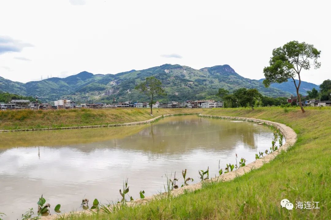 陈劲松率队开展“护河爱水、清洁家园”暨“河长日”活动