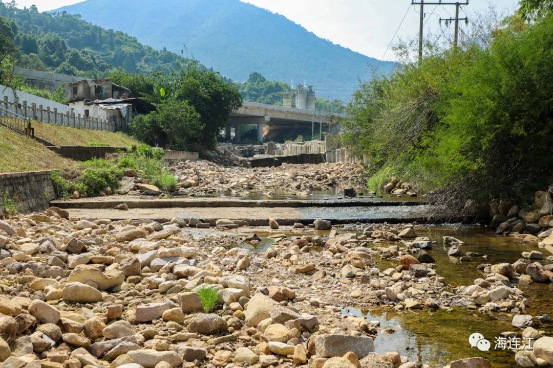 	 【“传承弘扬‘四下基层’优良传统”】碧水长清！县长高双成率队巡河！