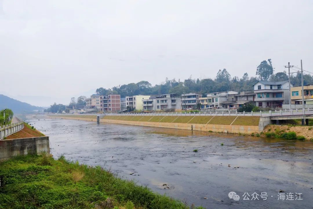 县委书记赴丹阳镇开展“河长日”活动