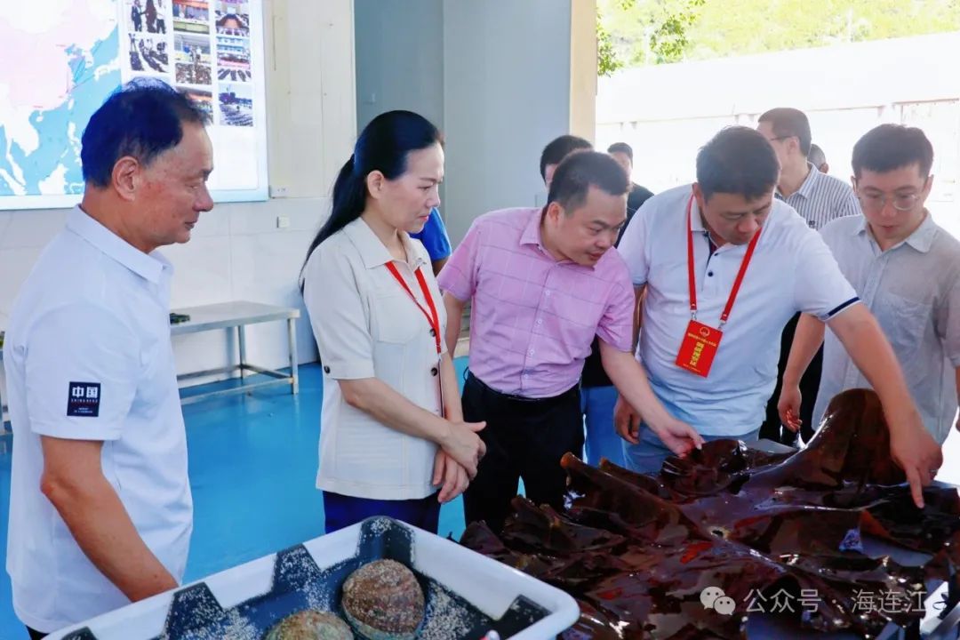 【学习贯彻习近平法治思想】今天，连江县人大常委会开展执法检查