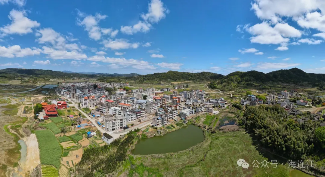 做好“茶”文章，用活“侨”资源！今天，陈劲松去了长龙