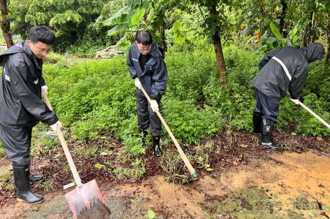 环境清理、消杀防疫！连江开启“恢复”模式