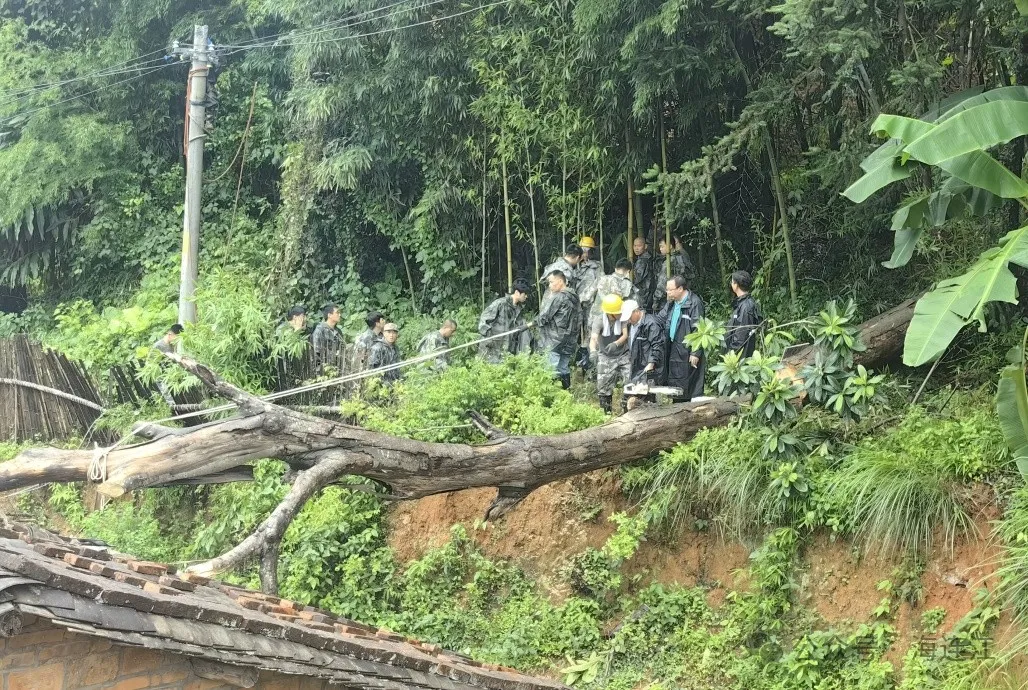 环境清理、消杀防疫！连江开启“恢复”模式
