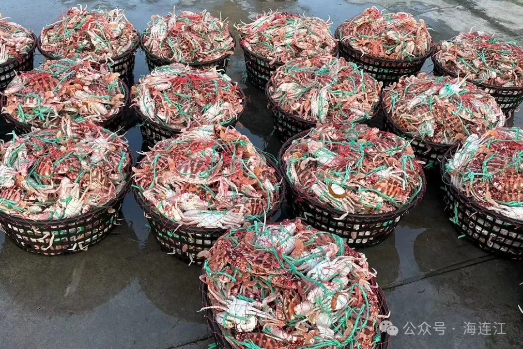 鱼虾满仓！连江“第一网鲜”，来啦！